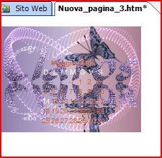 immagine 7