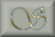 codice-script